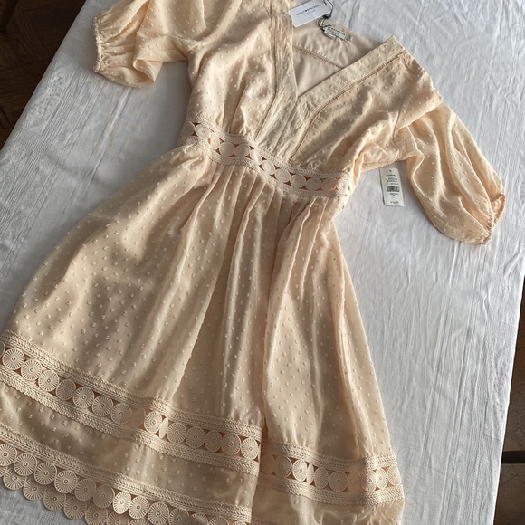 Pretty blush pink dress with feminine lace detail. Molly Bracken. Size Large. - Picture 2 of 10